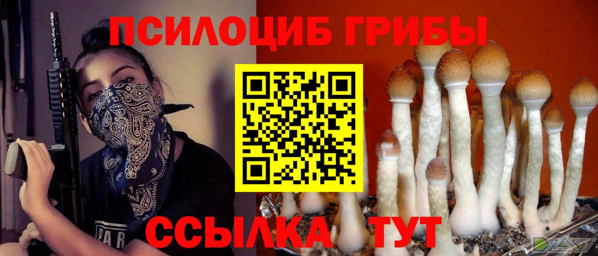 Кимовск  Галлюциногенные грибы GOLDEN TEACHER  Вход с VPN 
